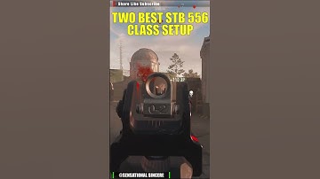 Best STB 556 Class Setup MW2