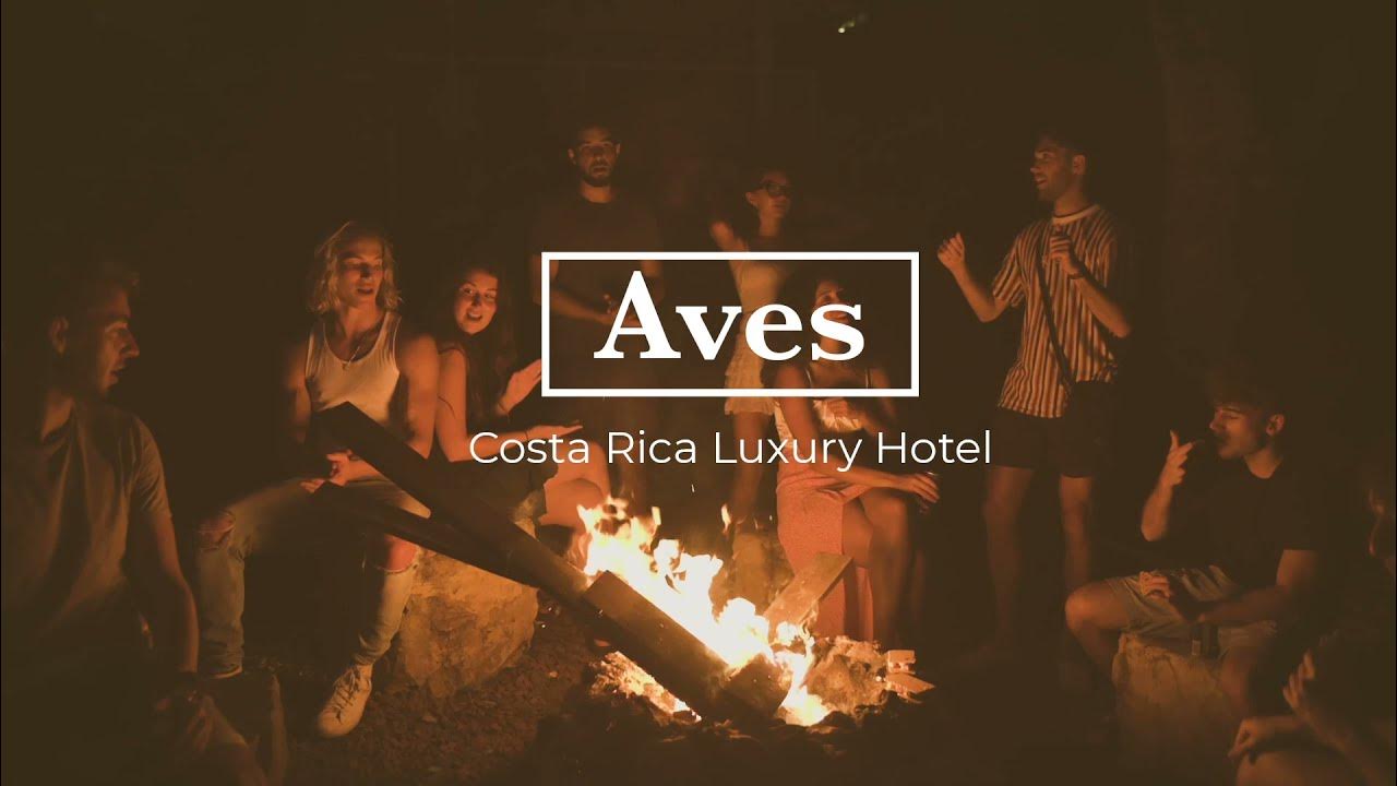 Join us in our 200 Hour Yoga Teacher Training in Montezuma, Costa Rica