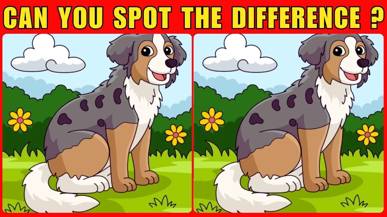 Spot The Difference : Only Genius Find Differences - YouTube