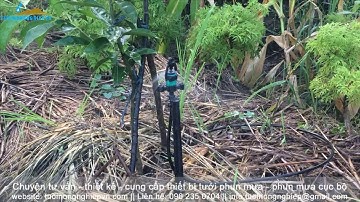 Béc tưới phun mưa cục bộ Rivulis S2000