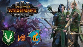 The Sisters of Twilight Face THE CHANGER | Wood Elves vs Tzeentch - Total War Warhammer 3