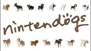 Expert & Master Class   Nintendogs (OST)