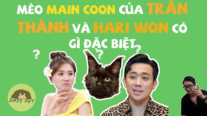 Con mèo của trấn thành bao nhiêu tiền