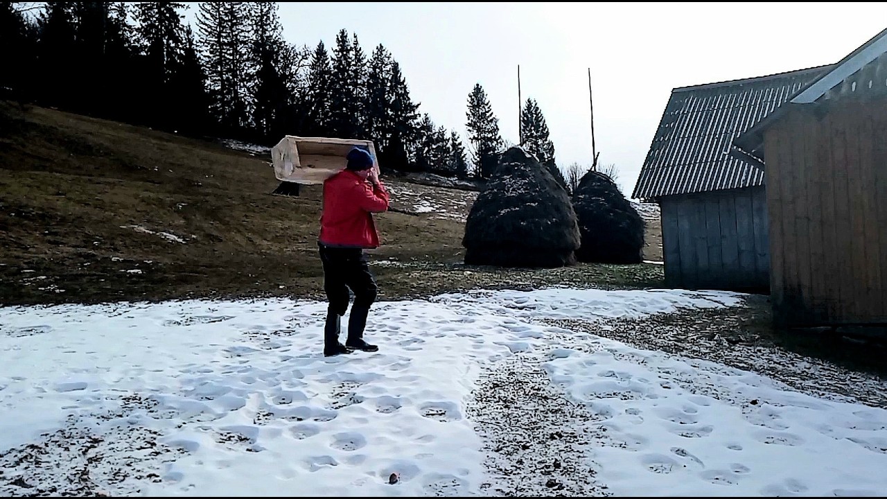 Ancient Village Traditions: Hand-Carving a Wooden Pig Trough from a Spruce Log