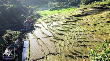 Bali, Indonesia 4K Ambience | Gamelan Music by Balinese Orchestra | Ambient Worlds | Relaxation