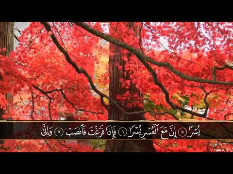 محمد صديق المنشاوي سورة الشرح 