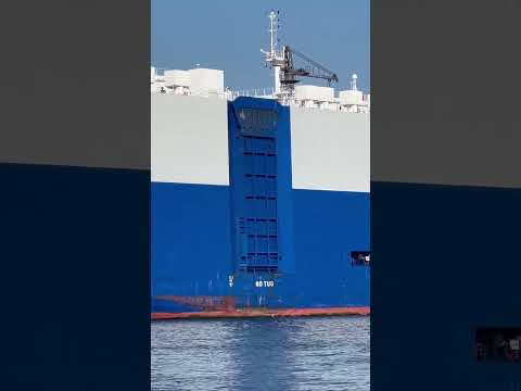 Life as a seafarer at sea: on board on a RoRo Cargo Ship (mv Schieborg)