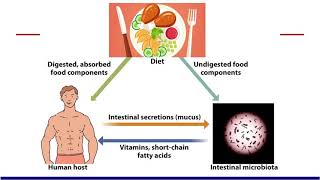 NUTRITION 2020 Gut Microbiome Best Practices