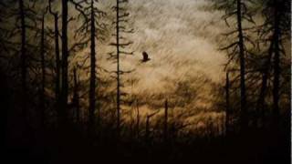 Caedes Castus - Descendance into Navia