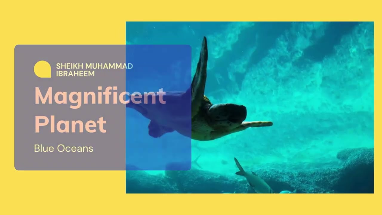 Magnificent Blue Oceans YouTube