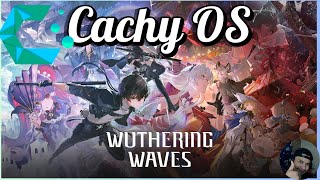 Wuthering Waves on Linux | RX 9070XT Cachy OS Linux | Proton GE 10-8 | July 2/2025
