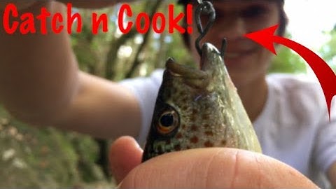 Primitive DIY fishing rod - Catch n Cook!