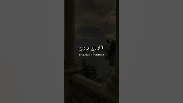سورة فصلت إسلام صبحي 