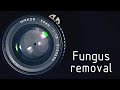 Lens repair : Fungus cleaning