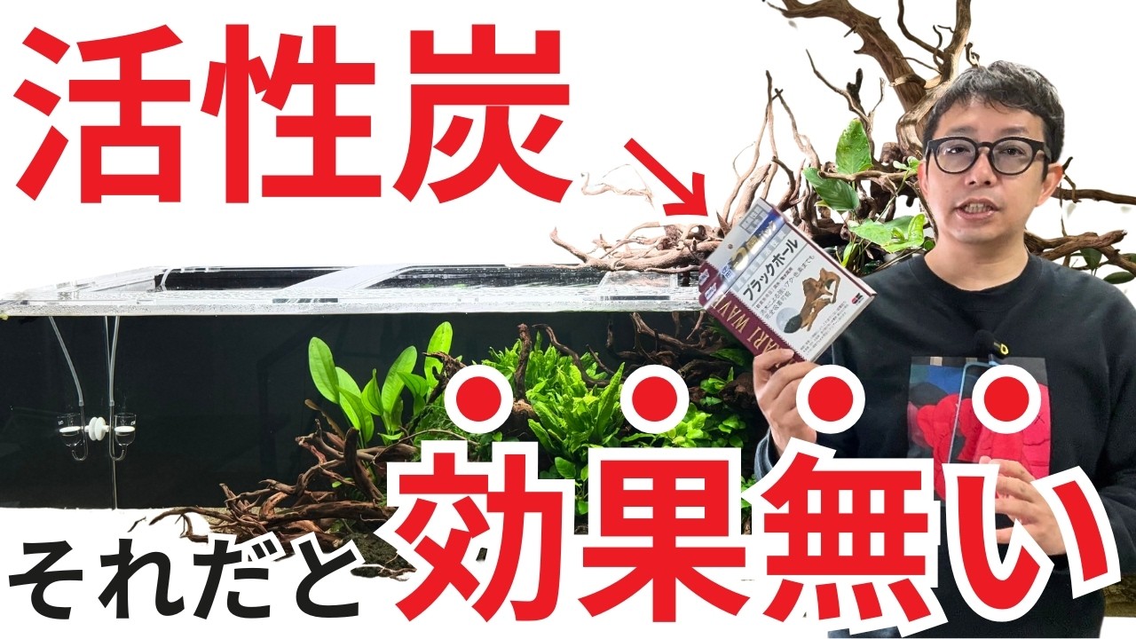 【知らないと損します!】活性炭を無駄なく効果的に使う方法はこれです
