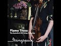 Capture de la vidéo Flame Trees: The Australia & Nz String Collection - Stringspace