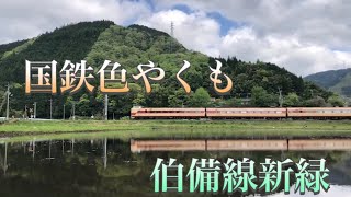 「特急やくも国鉄色」新緑の伯備線で撮る！