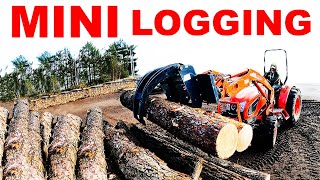 MINI LOGGING 2023