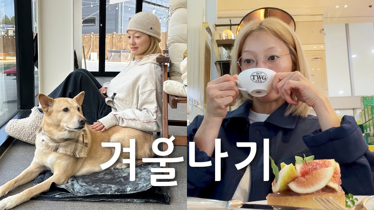 겨울나기_____✍🏻🐾