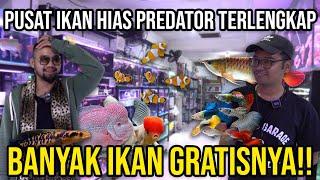 PUSAT IKAN HIAS PREDATOR TERLENGKAP BANYAK IKAN GRATISNYA!! #Audreykingofthejungle #indoexotic