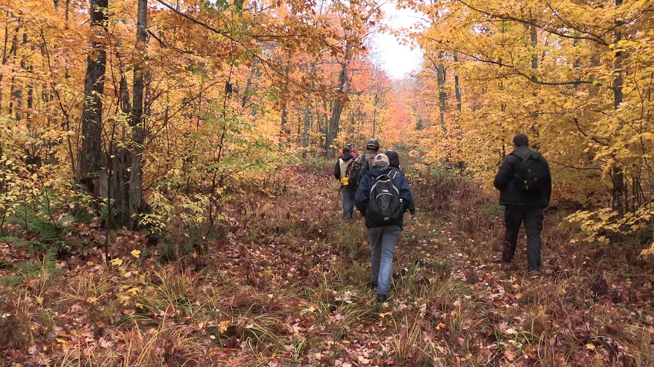 Preview image for Michigan Tech lands designated as Model Forest video