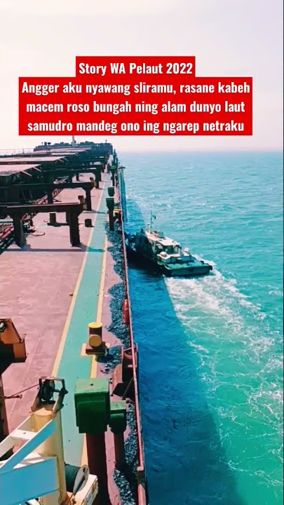 Story WA Pelaut LDR 2022‼️Pilot Onboard Ship #shorts #youtubeshorts #storywa #ldr