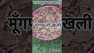 सरसों खली से 10 गुना पावरफूल खाद बनाये #fertilizer #khad #shorts by Rnkushwaha