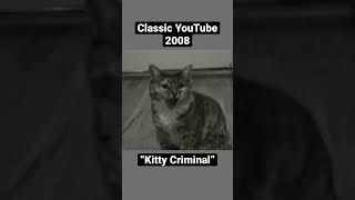 Classic Youtube 2008! Kitty Criminal Starring Mylo The Cat And His Sister Lulu The Cat. #Cat #Cats