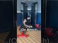 Dips (On Bench) - Exercise Demonstration