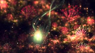 the Rite of the Fireflies