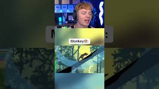 How Animals Evolved Over Time