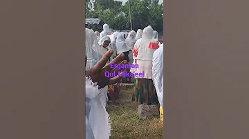 Ergamaa Qulqulluu Mikaa Eel 