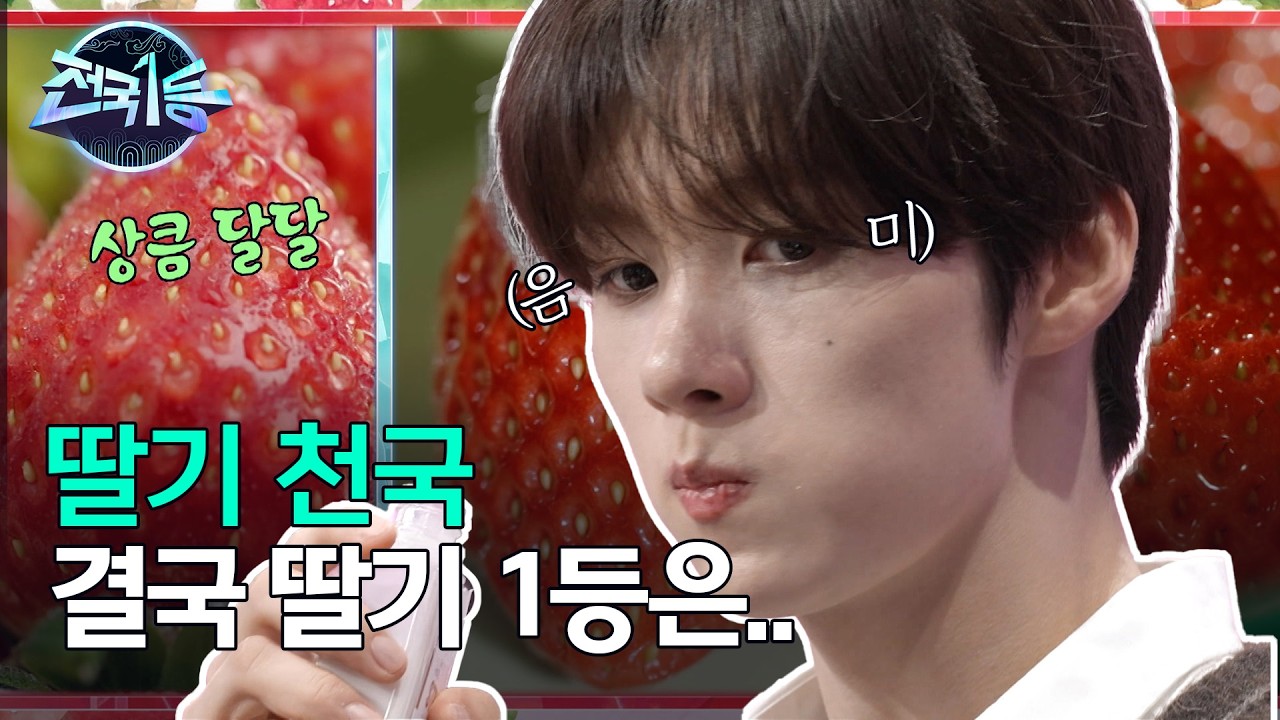[전국1등] 마음껏 맛보는 딸기 천국, 논산·진주·홍성의 딸기 중 가장 단 딸기는?, MBC 260223 방송