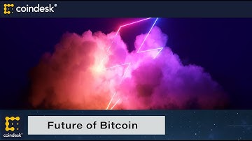 The Future of Bitcoin and the Lightning Network