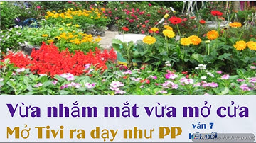 PP Vừa nhắm mắt vừa mở cửa sổ bài 3 văn 7 kết nối. Dạy trên tivi không phải đem máy tính đi trường