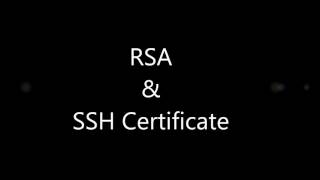 Mini Project CIS + Network Security