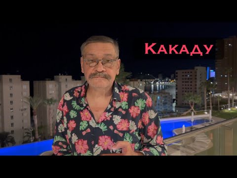 Какаду. - YouTube