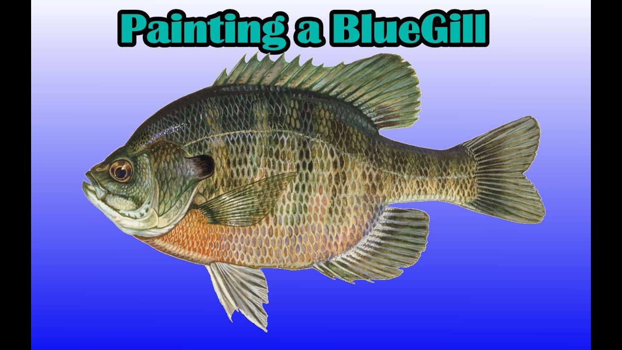 Painting a Large Bluegill Glide Bait 