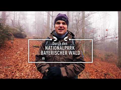 Bavaria Insider & Ranger Siggi Schreib: Virtual tour through the Bavarian Forest | Bavaria Travel