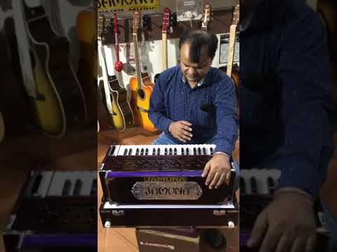 jamuna-harmonium-khardi-kangi-double-reeds-tone-check-by-shibu-ji-at-jamuna-music-chandigarh-branch