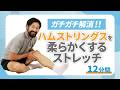 ハムストリングスを柔らかくするストレッチ｜太もも裏が硬くてお悩みの方へ！【12分間】