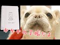 わんこのペット手帳を作ってみたよ【フレンチブルドッグのおかか】【frenchibulldog】256