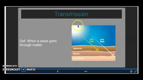 Wave Behaviors