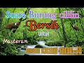 Cililin Gacor Jernih Bersih Suara Jeda Rapat Cocok Untuk Masteran Burung Kicauan Anda Mp3 - Mp4 Download