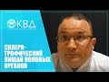 1397  Склератрофический лишай половых органов