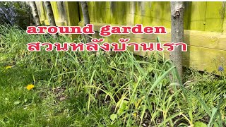 #garden #สวนหลังบ้านeasylifebyjoon