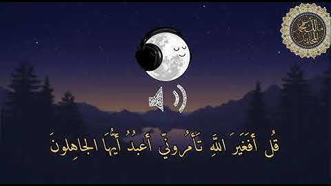 تلاوة هادئة من سورة الزمر _ مالك المحاميد