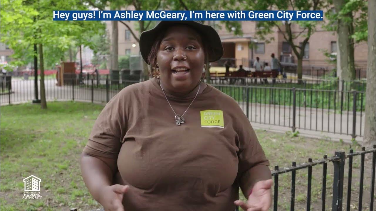 How To Separate Recycling at NYCHA YouTube