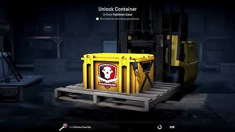 OPENING CASES CS2. DAY 79. FALCHION CASE.