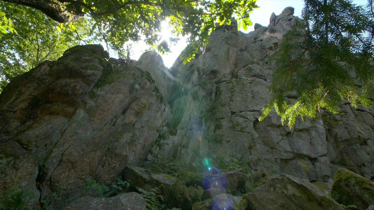 PIECHOWICE FILM PROMOCYJNY 2022